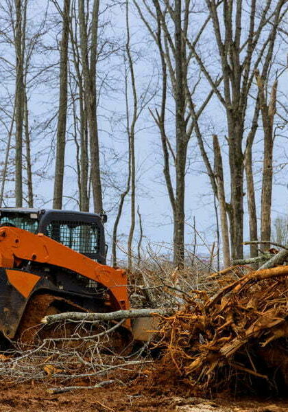 Tree clearing for housing preparation land new residential development construction